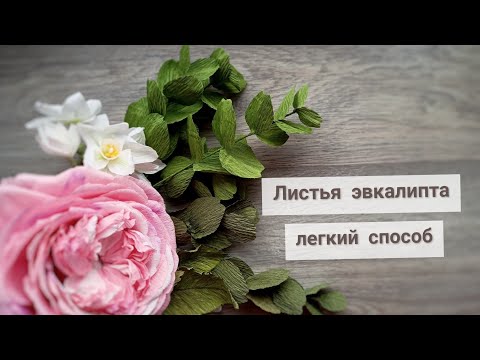 Видео: Листья эвкалипта. Легкий способ.