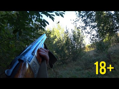 Видео: Огромные черви внутри!!! Охота на тетерева осенью с подхода 2021.
