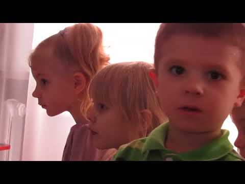 Видео: Заюшкина избушка