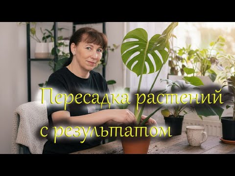 Видео: Пересаживаем растения, смотрим результат