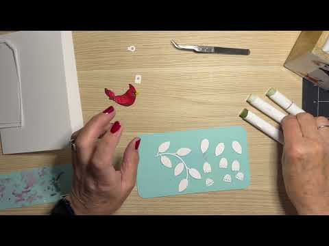 Видео: Нордик умирает, кардинал, напоминание о Вирджинии