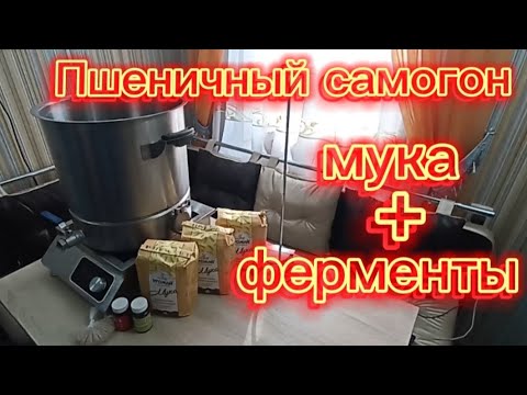 Видео: Пшеничный самогон. Мука + ферменты.