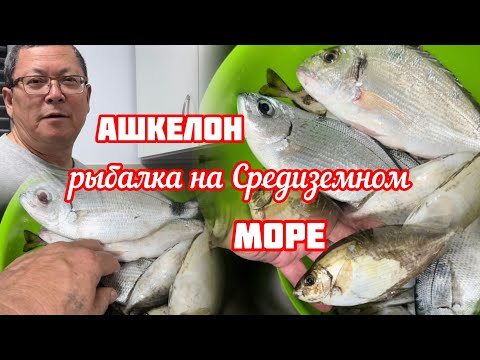 Видео: 104.Израиль.Рыбалка.Ашкелон.апрель 2024 год