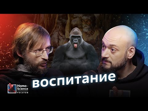 Видео: Как эффективно воспитывать детей? Станислав Дробышевский