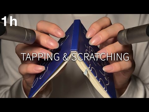 Видео: ACMP Нежные Мурашки😌Медленное Постукивание и Царапанье 1 Час (No Talking)