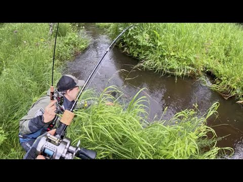 Видео: рыбалка по Достоевскому: БОЛЬ и СТРАДАНИЕ на форелевом ручье Часть 1