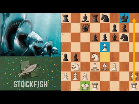 Видео: Stockfish vs LCZero. Сицилианская Защита. Дебютная катастрофа!