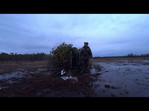 Видео: Утренняя охота на утку. Красивый выстрел в лёт. 7 серия /Весенняя охота 2023/