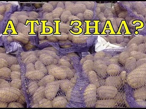 Видео: Как хранить КАРТОФЕЛЬ зимой?
