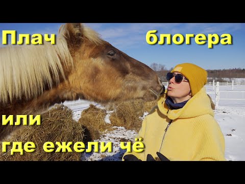 Видео: "Плач блоггера" или где нас найти, если вдруг...