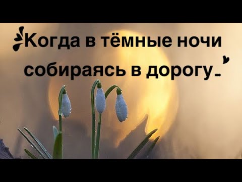 Видео: Когда в тёмные ночи