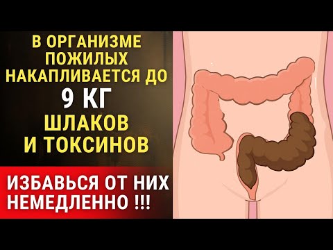Видео: Врачи молчали, а всё дело было в кишечнике: история, которую стоит услышать