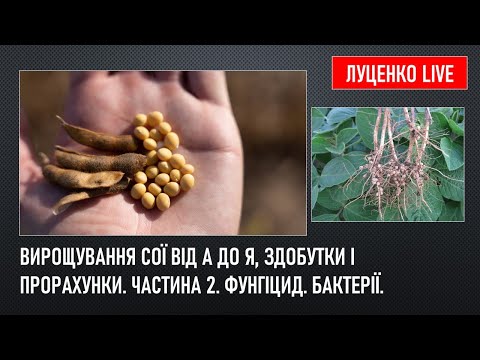 Видео: Вирощування сої від А до Я, здобутки і прорахунки. Частина 2. Фунгіцид. Бактерії.