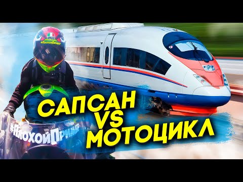 Видео: Смогу ли я ОБОГНАТЬ САПСАН на МОТОЦИКЛЕ ?