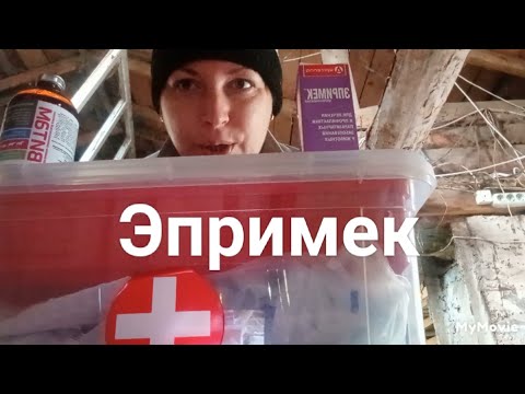 Видео: Эпримек. Прокалываю  козам препарат при переходе с поле на сено , стоилый период. 14.10.2025.