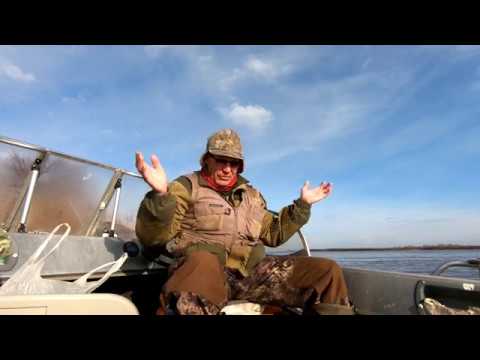 Видео: Сом на печень курицы весной.