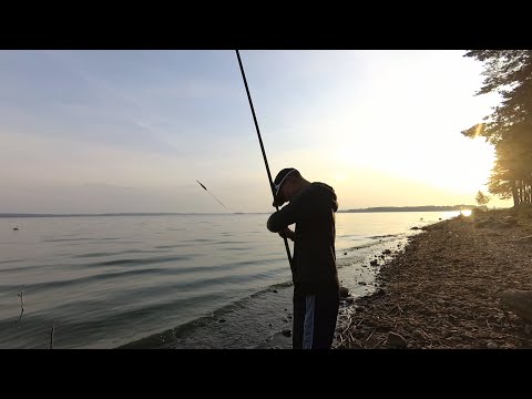 Видео: Рыбалка на Минском море.Подлещик,плотва ну и куда же без Карася