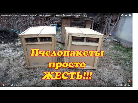 Видео: ПОКУПКА НЕИЗВЕСТНЫХ ПАКЕТОВ ПЧЁЛ, КАКИЕ БЫВАЮТ В ДАЛЬНЕЙШЕМ ПРОБЛЕМЫ. 1 Часть.