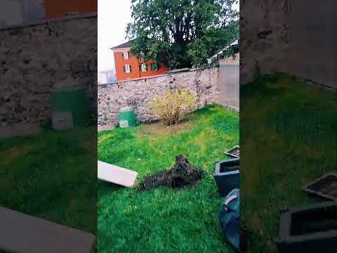 Видео: ошибка которую надо исправить.  Альпы Швейцария