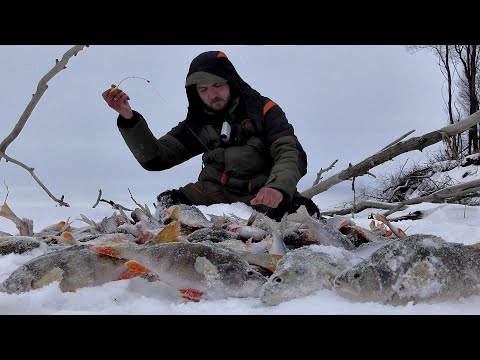 Видео: НА СВАЛЕ В ЯМУ, ГДЕ ЖИВУТ КАБАНЫ!! Рыбалка на Оби в коряжнике. Крупный окунь на безмотылку.