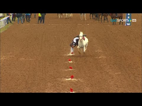 Видео: Теңге ілу. Федерация Кубогы