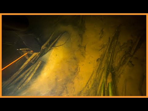 Видео: ДЕСНА VS СЕЙМ | ПІДВОДНЕ ПОЛЮВАННЯ 2022