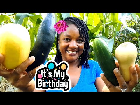 Видео: Прекрасный садовый УРОЖАЙ в мой ДЕНЬ РОЖДЕНИЯ 🎂