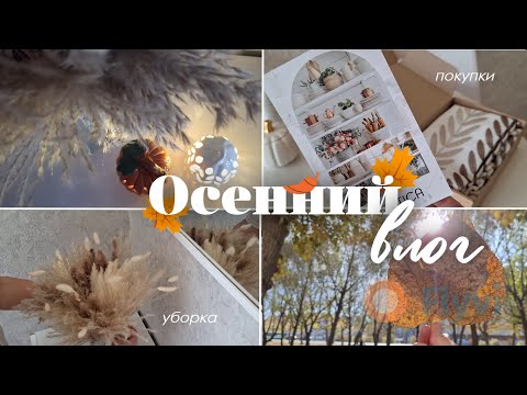 Видео: Уютная осень: покупки, декор, уборка, прогулки/ Осенние новинки Фикс прайс/ Покупки Wildberries
