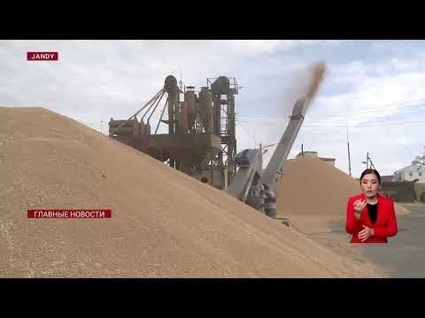 Видео: Снег прошел, а субсидии - нет: аграрии ждут выплат