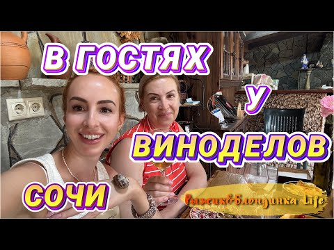 Видео: ДЕГУСТИРУЕМ домашнее ВИНО ЧАЧУ КОНЬЯК в Сочи🍷Уютное место с очень дружелюбной веселой атмосферой🤩