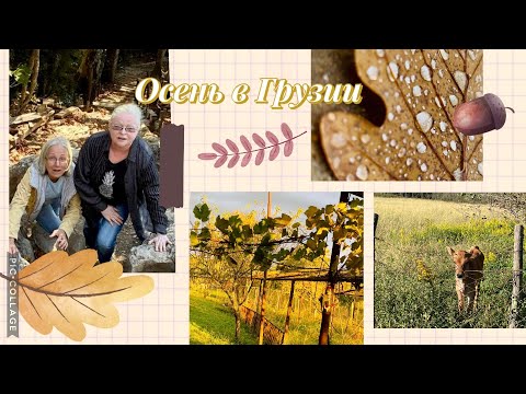 Видео: Путешествие по осеней Грузии!