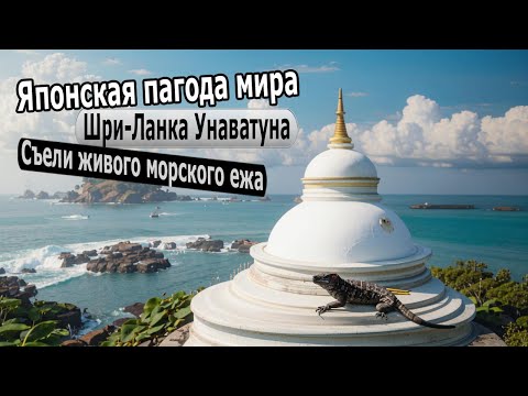 Видео: Шри Ланка. Унаватуна. Японская пагода мира. Огромный варан и поедание морского ежа