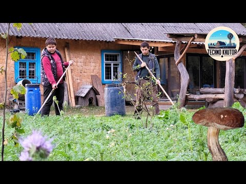 Видео: В поисках съедобных грибов и кормим свинок на хуторе.