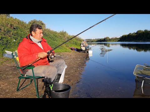 Видео: Рыбалка в Черте Города. Фидер на Днепре. Ловим Подлещика.
