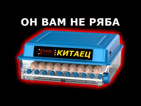 Видео: Ремонт инкубатора Ряба 64. Детальный обзор начинки. Стоит ли его покупать?