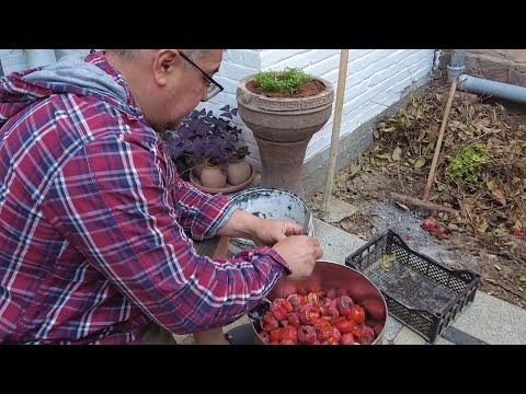 Видео: 🔥НАКОНЕЦ - ТО! 🏺УКСУС из ХУРМЫ! 😋ДУШИСТЫЙ и 💖ПОЛЕЗНЫЙ!