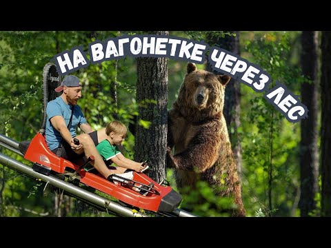 Видео: Тобоган в Яхроме. Летнее развлечение на зимнем курорте.