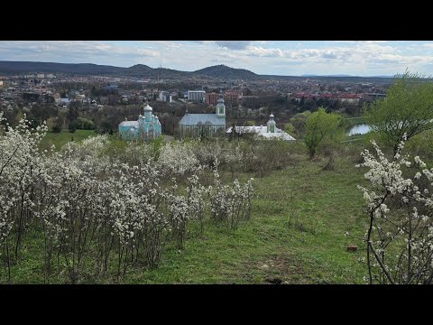 Видео: Katrina3 в прямом эфире!