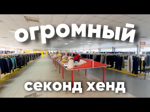 Видео: ВОТ ЭТО РАЗМЕРЫ! секонд хенд Зигзаг удачи 🔥