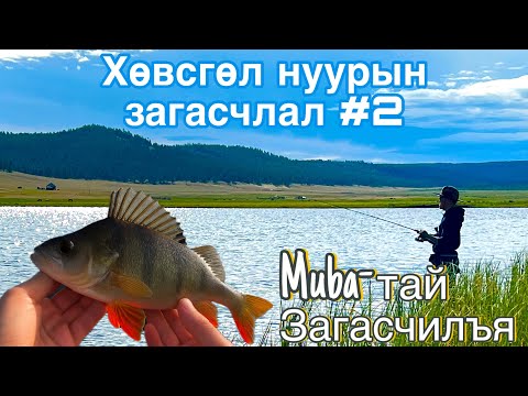 Видео: ХӨВСГӨЛ НУУР🌊-ЫН ЗАГАСЧЛАЛ🎣 #2 Muba-тай ЗАГАСЧЛАЛ