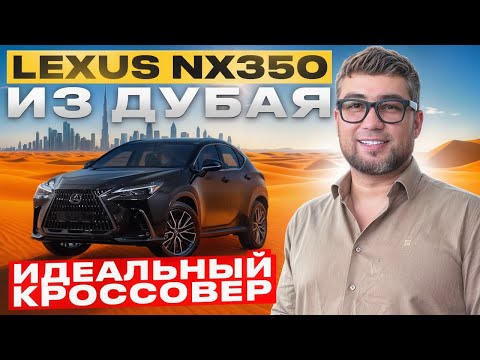 Видео: Lexus NX350 из Дубая | Обзор, цена, комплектация!