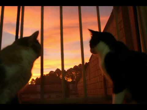 Видео: Плейлист с летним вайбом