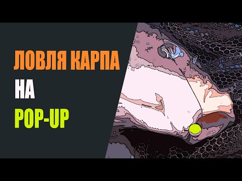 Видео: Ловля карпа на pop-up