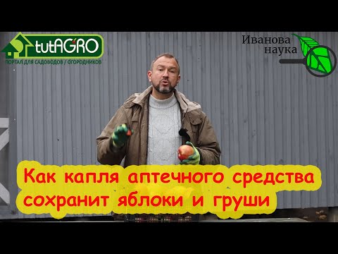 Видео: ПОСТАВЬТЕ РЯДОМ С ЯБЛОКАМИ ЭТО СРЕДСТВО и ОНИ СОХРАНЯТСЯ ДО НОВОГО УРОЖАЯ! + еще 2 способа.