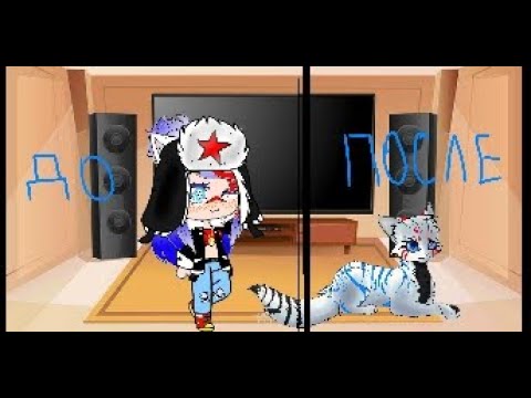 Видео: Реакция стран на meme