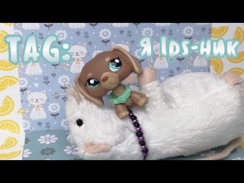 Видео: |LPS|: TAG Я lps-ник