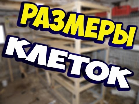 Видео: РАЗМЕРЫ КЛЕТОК ДЛЯ КРОЛИКОВ. КОРМЛЕНИЕ.