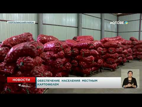 Видео: Обеспечение  населения  местным  картофелем