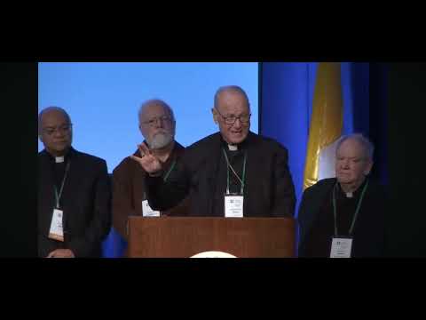 Видео: Кардинал Долан в USCCB, ноябрь 2025 г.