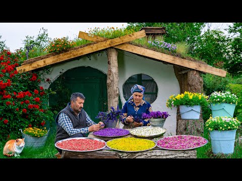 Видео: Сбор Полевых Цветов и Приготовление Сахара для Чая